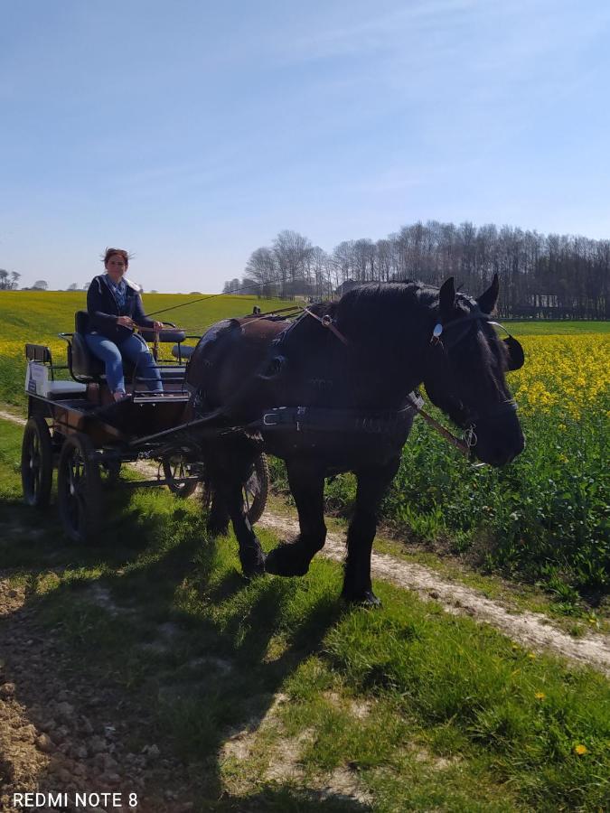 Veritable Roulotte Hippomobile "La Bailleul" Mentheville المظهر الخارجي الصورة